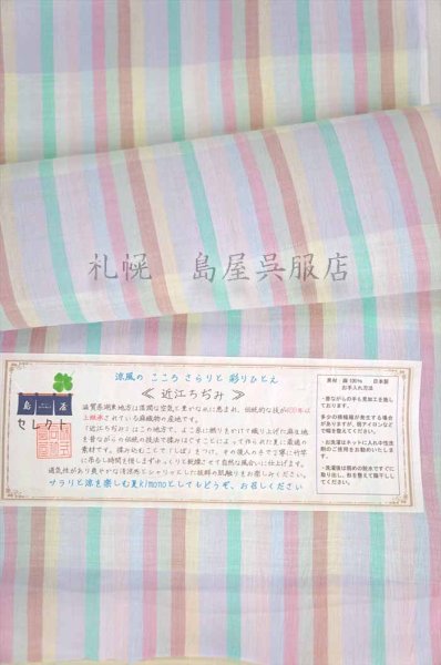 画像2: 近江縮:ブロックストライプ (2)