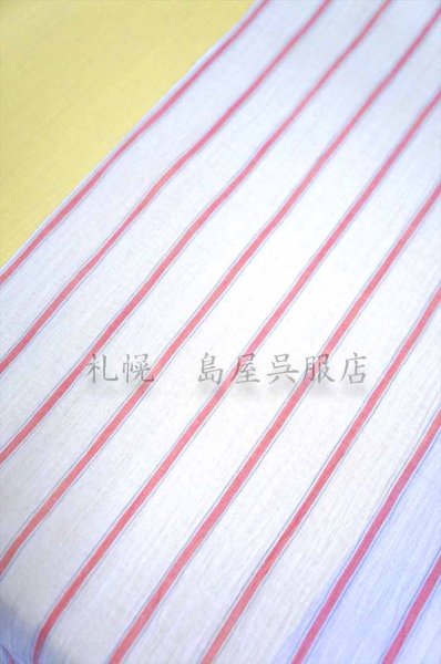 薄い色の生地からチラ見え(アップ)