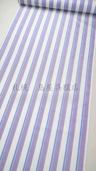 画像2: 【広幅】大島紬：クールストライプ (2)