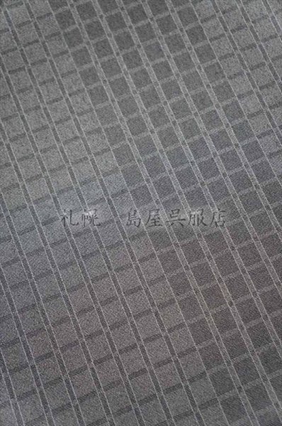 画像3: 本場塩沢紬　グレー格子 (3)