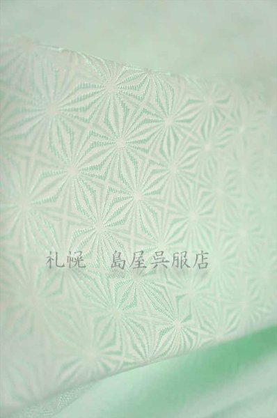 画像4: 小紋:寿光織 (4)