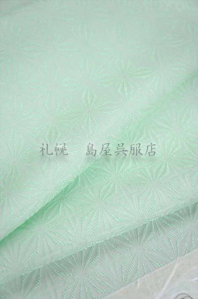 画像3: 小紋:寿光織 (3)