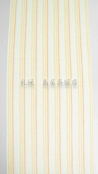 画像2: 小千谷縮：ビタミンカラー（オーガニックラミー・変わり織） (2)