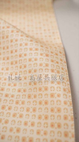 画像4: 伝統的工芸品 牛首紬：こつぶ (4)