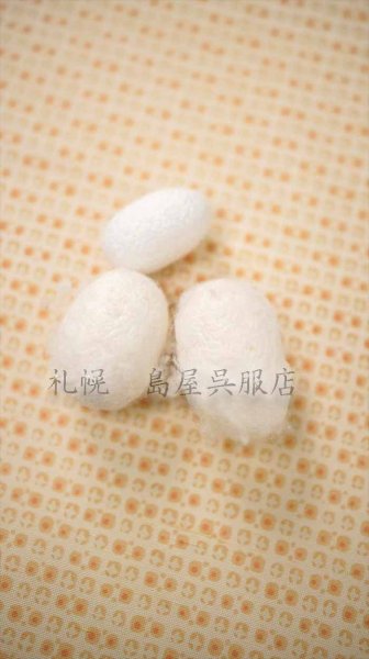 画像5: 伝統的工芸品 牛首紬：こつぶ (5)