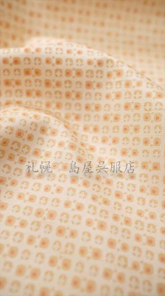 画像3: 伝統的工芸品 牛首紬：こつぶ (3)