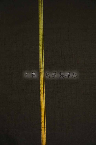 画像3: 紬：柿泥・グラデーションライン (3)