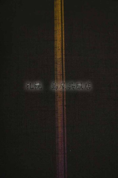 画像4: 紬：柿泥・グラデーションライン (4)