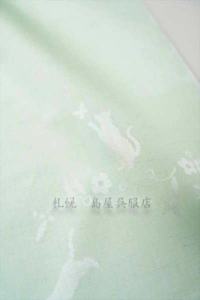 画像4: 紬：桐生織／影絵織・彩紬（ネコ） (4)