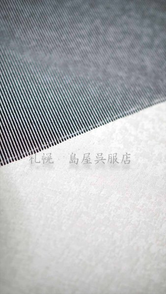 画像4: 【広幅】江戸小紋　万筋 (4)