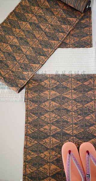 画像10: 【島屋オリジナル】片貝木綿・柿渋両面染め：竹尽くし (10)