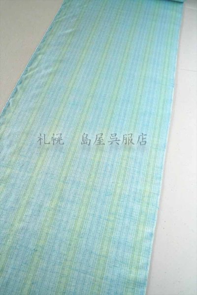 画像2: 紅花紬：米沢 新田工房　春の宵（真綿手引紬） (2)