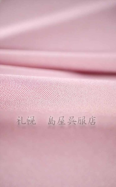 画像4: 江戸小紋調・鮫小紋（赤） (4)