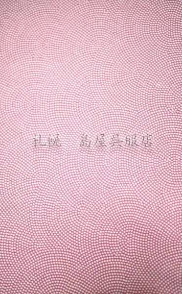 画像2: 江戸小紋調・鮫小紋（赤） (2)