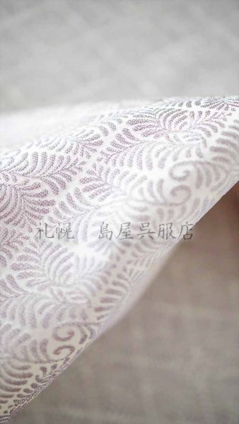 画像2: 【超広幅】お召:京丹後お召 羊歯菱 (2)