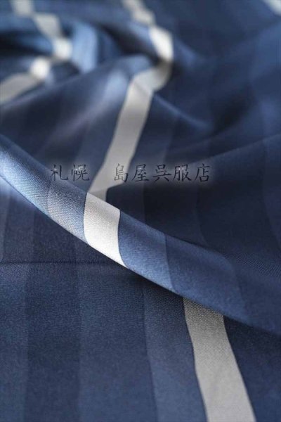 画像2: 小紋：よろけ縞 (2)