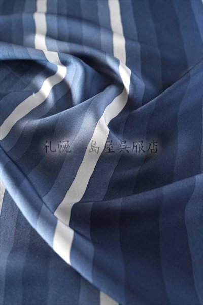 画像3: 小紋：よろけ縞 (3)