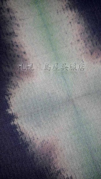 画像3: 【超広幅】藤井絞：はごろ木綿　雪花リボンneo (3)