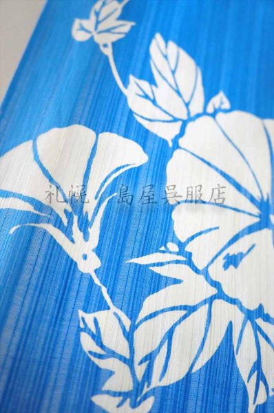画像2: 竺仙：朝顔（かげろう地染） (2)