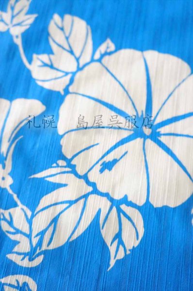 画像3: 竺仙：朝顔（かげろう地染） (3)