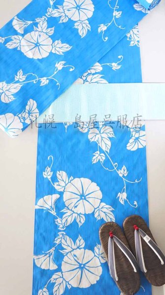 画像8: 竺仙：朝顔（かげろう地染） (8)