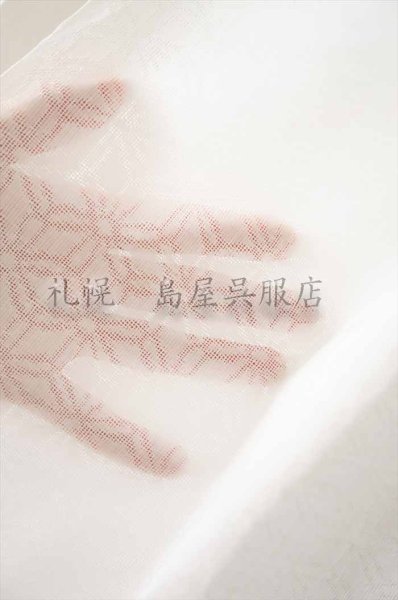 画像1: 洗える長襦袢：すずごこち（麻の葉柄） (1)