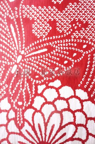 画像3: 三勝／蝶と大菊（赤ぼかし） (3)