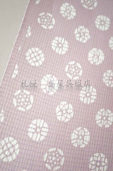 画像2: 竺仙：小丸（絹紅梅） (2)