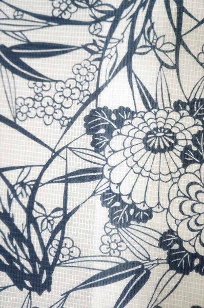 右半分は白襦袢を透かしたイメージ。