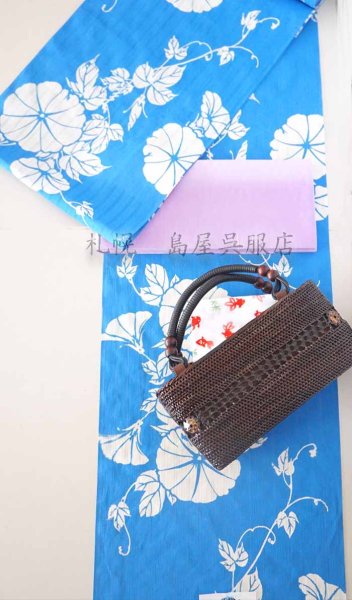 画像6: 竺仙：朝顔（かげろう地染） (6)