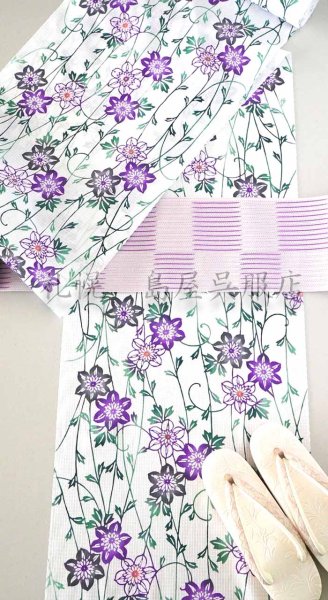 画像4: 三勝：鉄線（綿紅梅） (4)