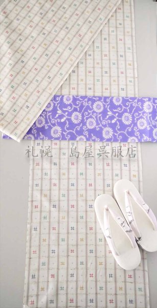 画像11: ぜんまい紬：伝統工芸士・根津　儀一作「夢幻」（井桁） (11)