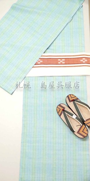 画像8: 紅花紬：米沢 新田工房　春の宵（真綿手引紬） (8)