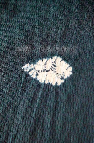 画像3: 藤井絞：はごろ木綿　瑞雲 (3)