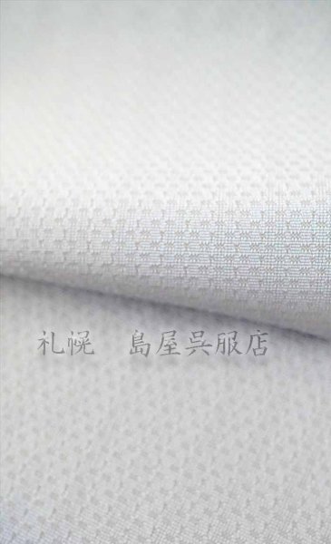 画像3: 【広幅】洗える単衣お召！：草木下染め・櫟（くぬぎ） (3)