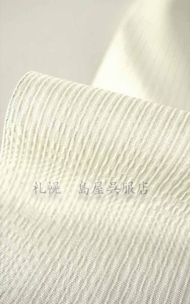 画像3: 【広幅】十日町紬：彩市松 (3)