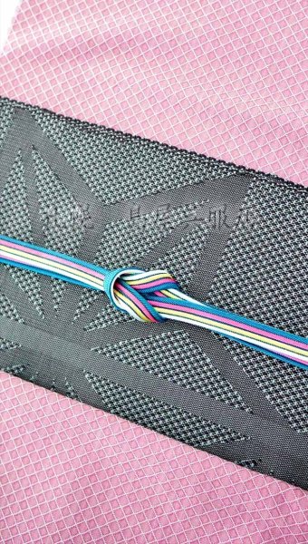 前側は単色にも三色にもなります（1）