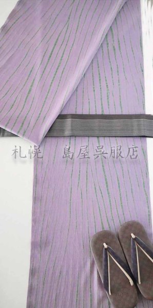 画像6: 【超広幅】藤井絞：はごろ木綿　竜巻絞り（灰藤×緑） (6)