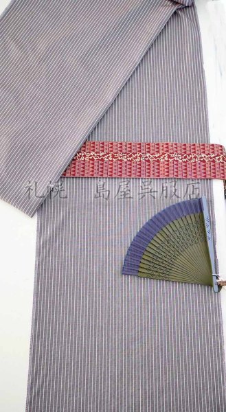 画像7: 米沢木綿　ＫＩＰＰＥ／レア反！マイクロボーダー (7)