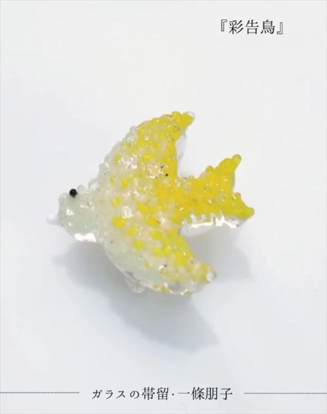 画像3: コレカラキモノ・帯留：彩告鳥 (3)