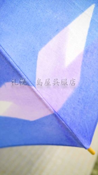 画像3: 【Ｉ様専用品】藤井絞・日傘 (3)