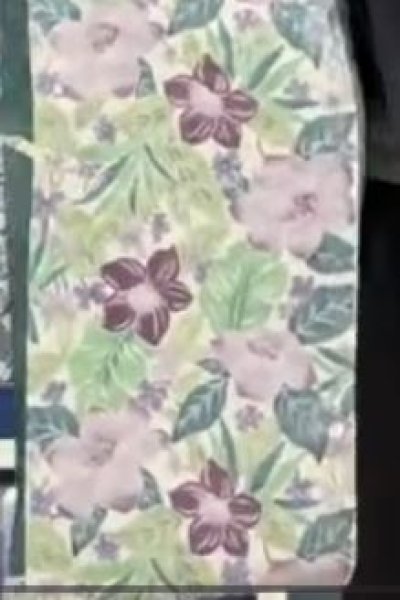 画像2: 【Ｓ様専用品】（夏）九寸名古屋帯／竺仙 (2)