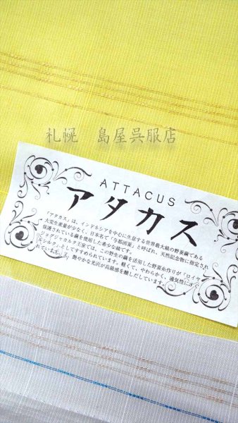 画像1: （夏）九寸名古屋帯：アタカス (1)