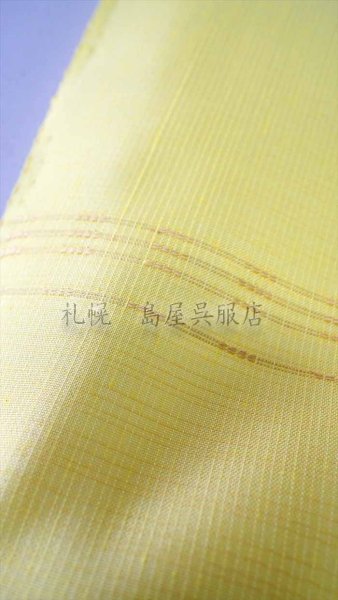 画像4: （夏）九寸名古屋帯：アタカス (4)