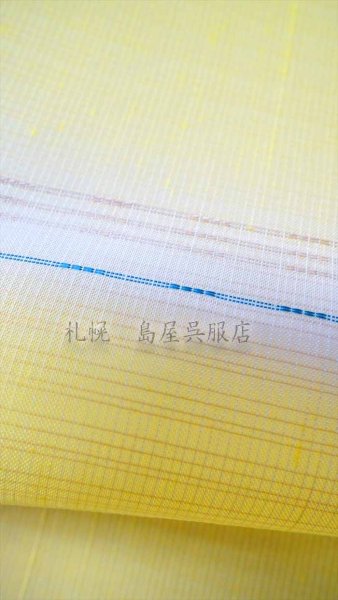 画像3: （夏）九寸名古屋帯：アタカス (3)