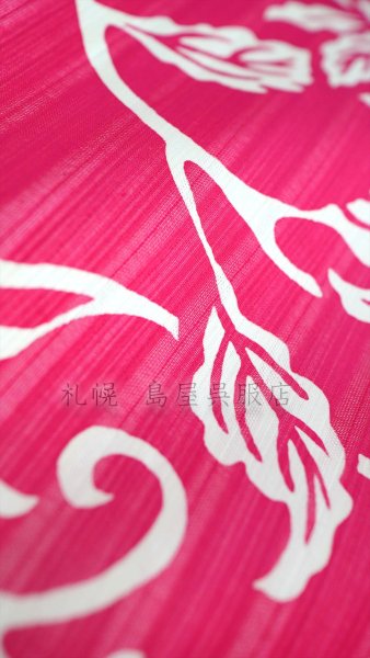 画像4: 竺仙：花唐草（かげろう地染） (4)