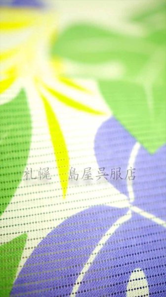 画像2: 紫織庵：モンステラ（綿絽） (2)